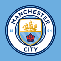 manchester city football club limited