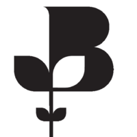 norfolk chambers of commerce