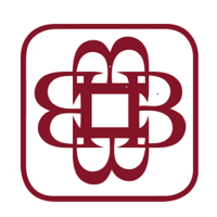 budenberg gauge company limited