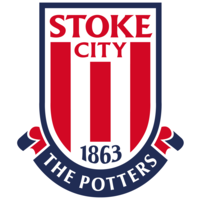 stoke city football club limited