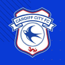 cardiff city football club limited