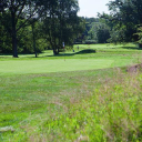 dorking golf club limited