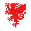football association of wales limited