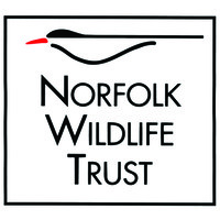 norfolk wildlife trust