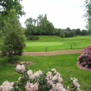 dartford golf club limited