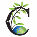 r.m.curtis & co.,limited