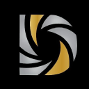 dolphin gaming limited