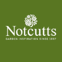 notcutts limited