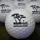 bigbury golf club limited