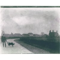 ernest bowles & sons limited