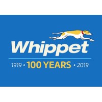 whippet coaches limited
