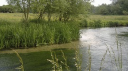 lower itchen fishery limited