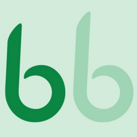 bowmer-bond narrow fabrics limited