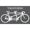 tandem group plc