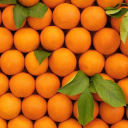 p.dawe & sons(holdings)limited