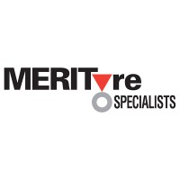 merityre specialists limited