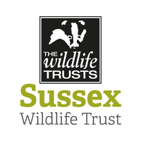 sussex wildlife trust