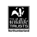 northumberland wildlife trust limited