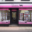 pointer properties limited