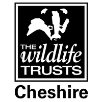 the cheshire wildlife trust limited