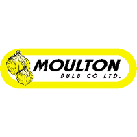 moulton bulb company limited