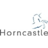 horncastle group plc