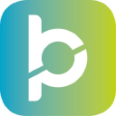 hayes parsons limited