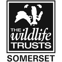 somerset wildlife trust