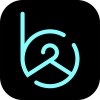 borco limited