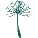 g.mannings.&.sons limited