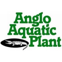 anglo aquatic plant company limited