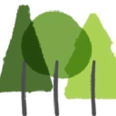 clifford jones timber limited