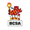 bcsa limited