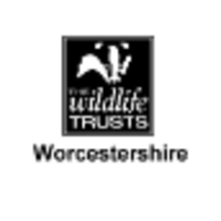 worcestershire wildlife trust