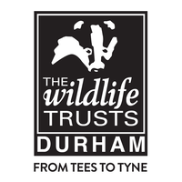 durham wildlife trust