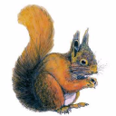 kelling heath holiday park limited