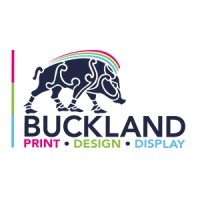 buckland media group limited