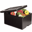 ped technologies limited