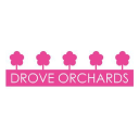 drove orchards limited