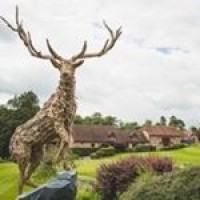 harleyford golf club marlow limited