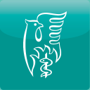 royal college of occupational therapists