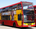nibsbuses limited