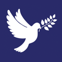 international voluntary service