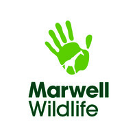 marwell wildlife