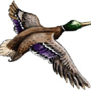 brentford dock limited