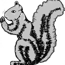 16 broadwater down limited