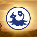 mortons dairies limited