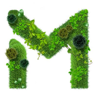 magna colours limited