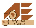 african enterprise uk limited