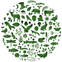 fritton lake limited